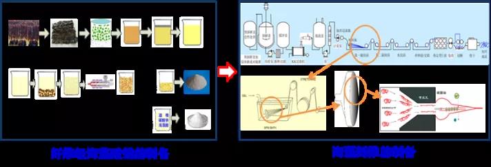 圖2 海藻纖維的制備流程示意圖